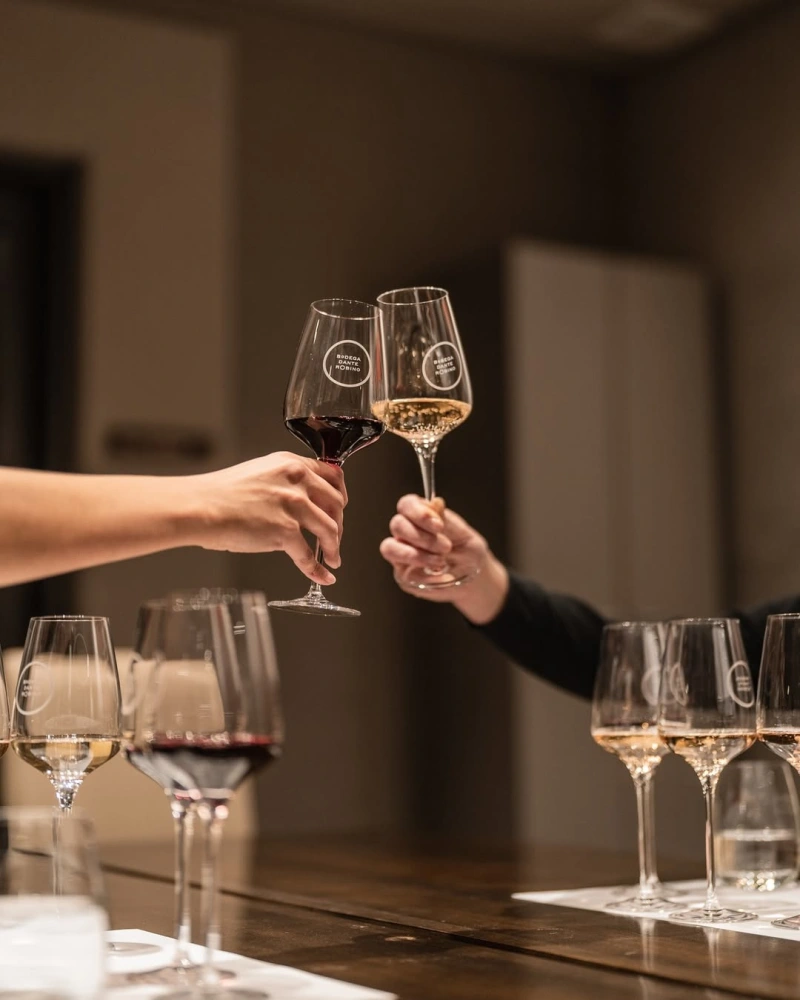 Vinito y Amigos - Mendoza - Bodega - Experience image